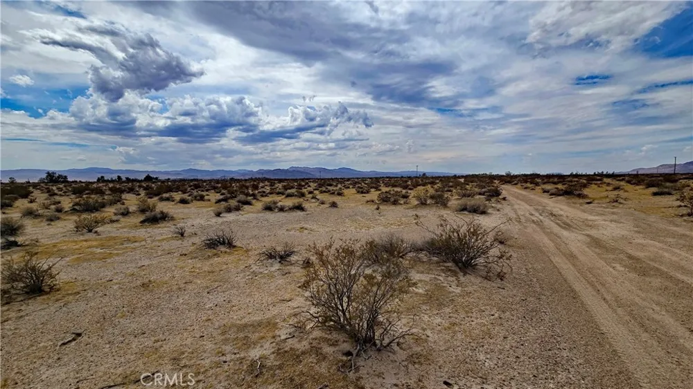 Greenview Rd Newberry Springs, CA 92365