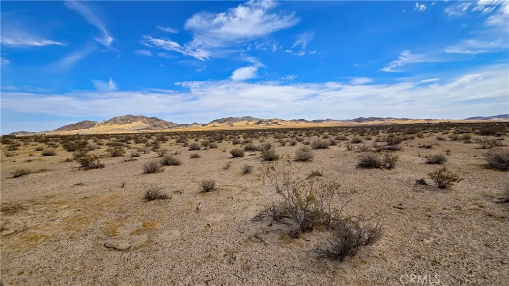 Greenview Rd Newberry Springs, CA 92365