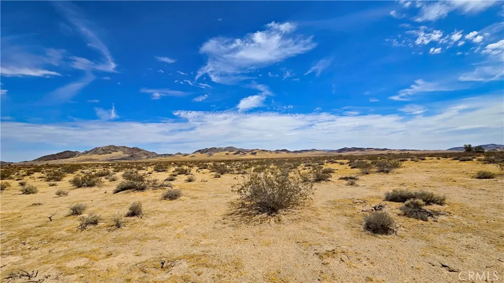 Greenview Rd Newberry Springs, CA 92365