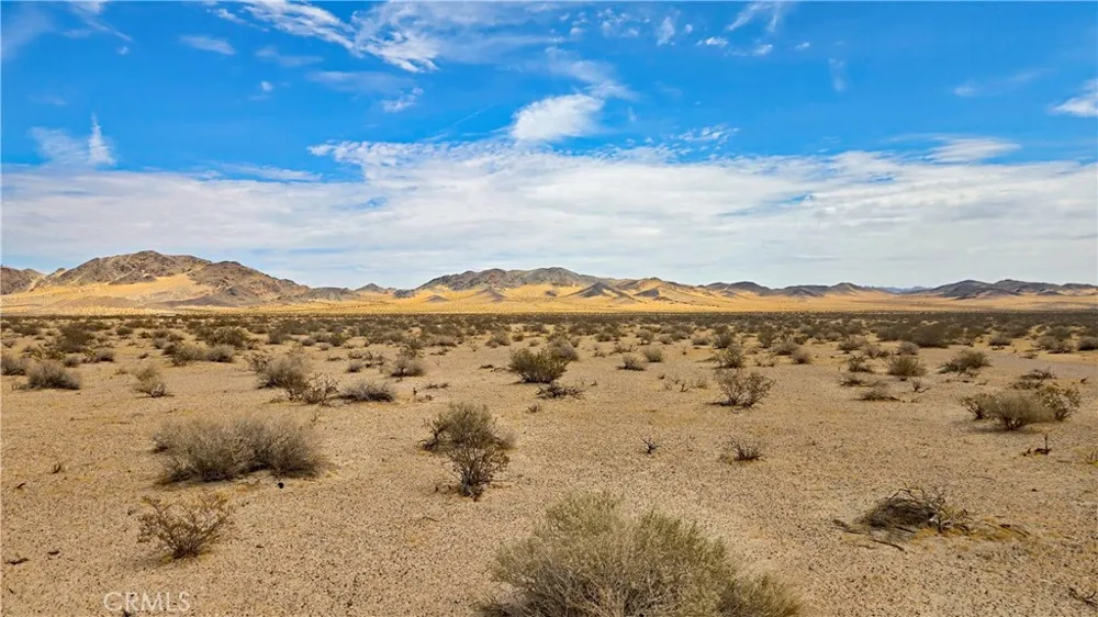 Greenview Rd Newberry Springs, CA 92365