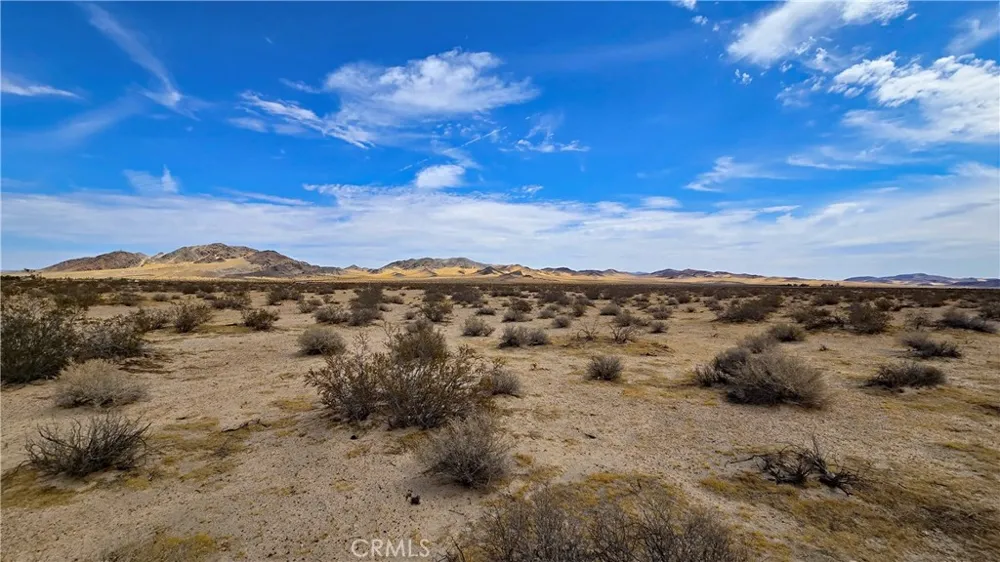 Greenview Rd Newberry Springs, CA 92365