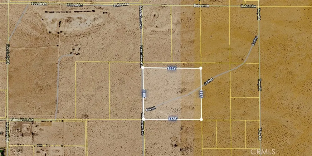 Greenview Rd Newberry Springs, CA 92365
