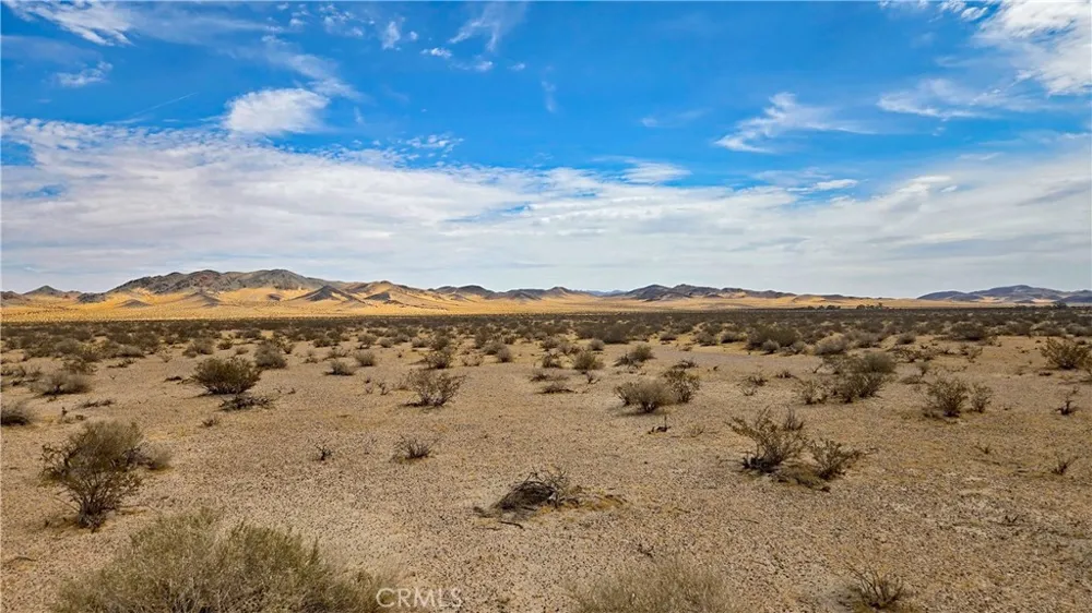 Greenview Rd Newberry Springs, CA 92365