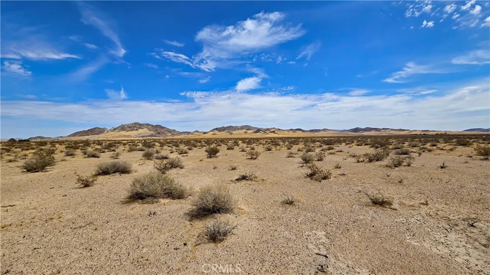 Greenview Rd Newberry Springs, CA 92365