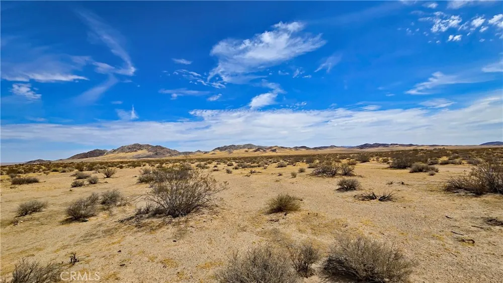 Greenview Rd Newberry Springs, CA 92365