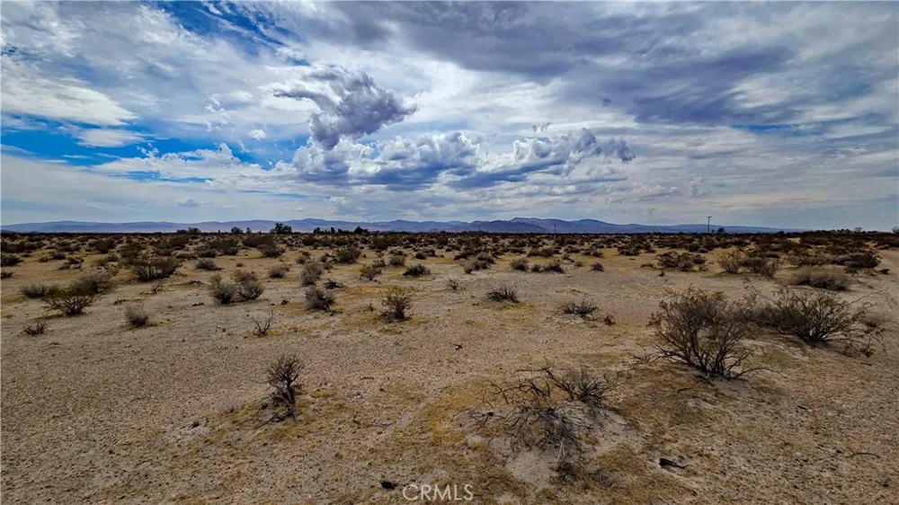 Greenview Rd Newberry Springs, CA 92365