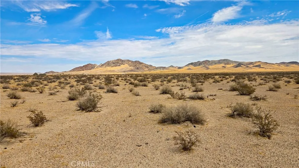 Greenview Rd Newberry Springs, CA 92365