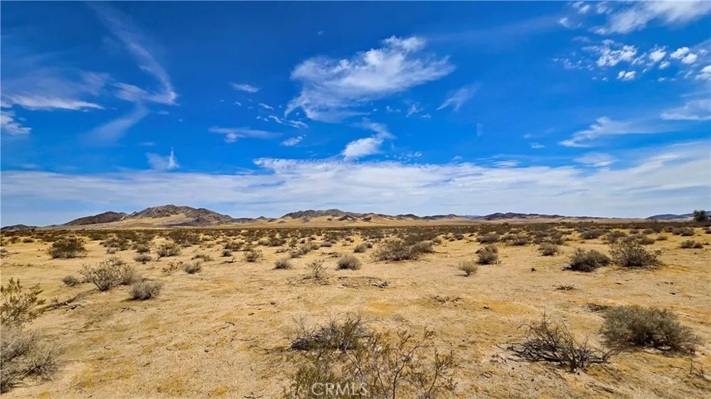 Greenview Rd Newberry Springs, CA 92365