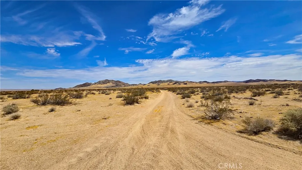 Greenview Rd Newberry Springs, CA 92365