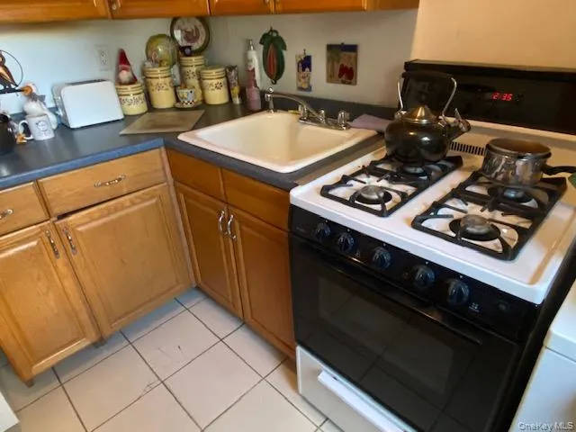 255-15 75th Avenue #G-1 Glen Oaks, NY 11004