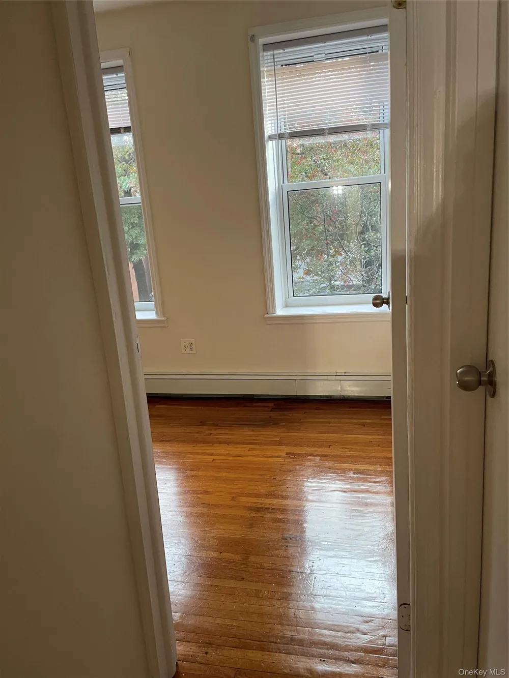 328 Troy Avenue Brooklyn, NY 11213