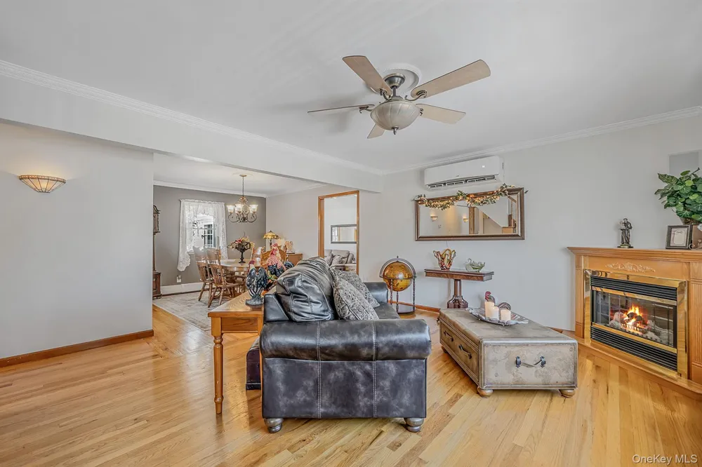 16 Salem Road Hicksville, NY 11801