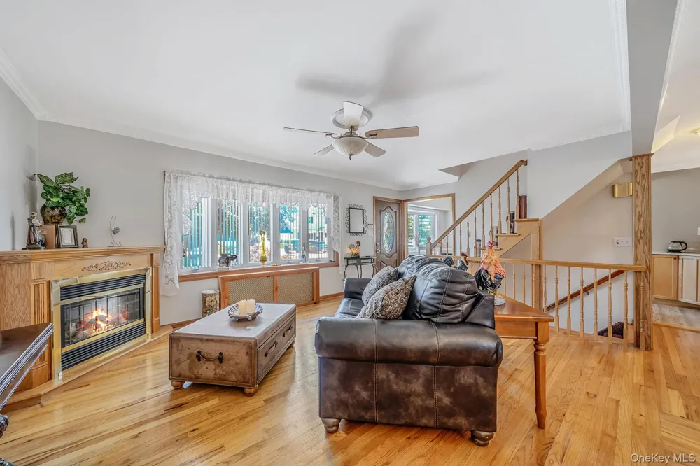 16 Salem Road Hicksville, NY 11801