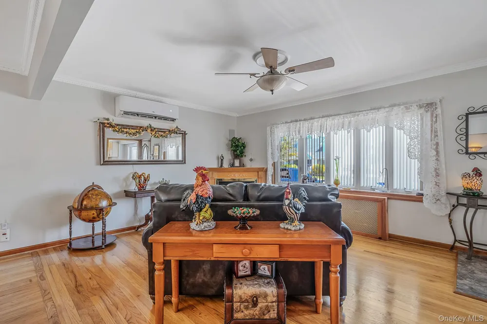 16 Salem Road Hicksville, NY 11801