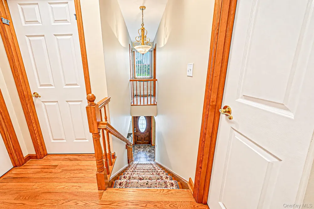 16 Salem Road Hicksville, NY 11801