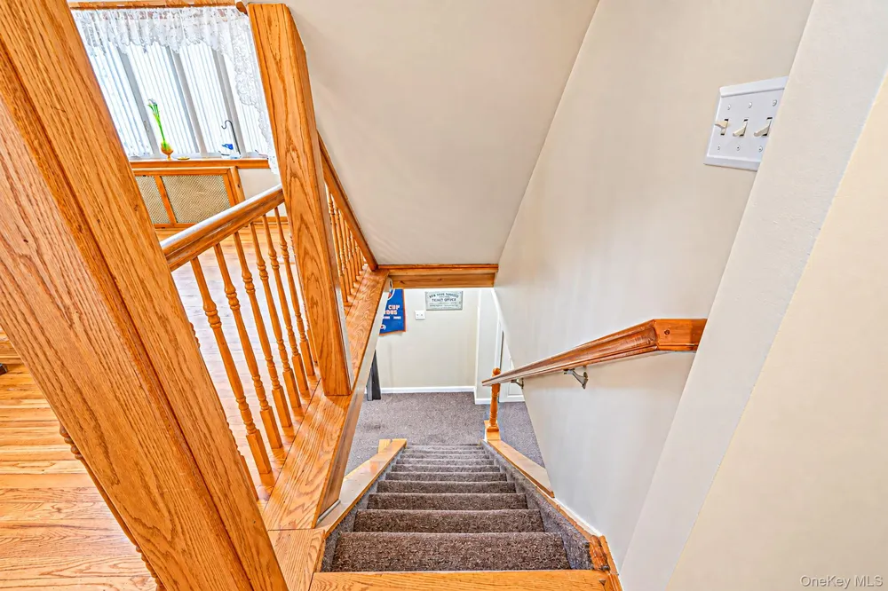 16 Salem Road Hicksville, NY 11801