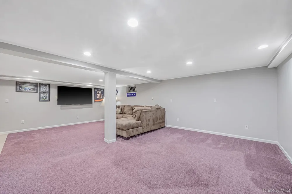 16 Salem Road Hicksville, NY 11801