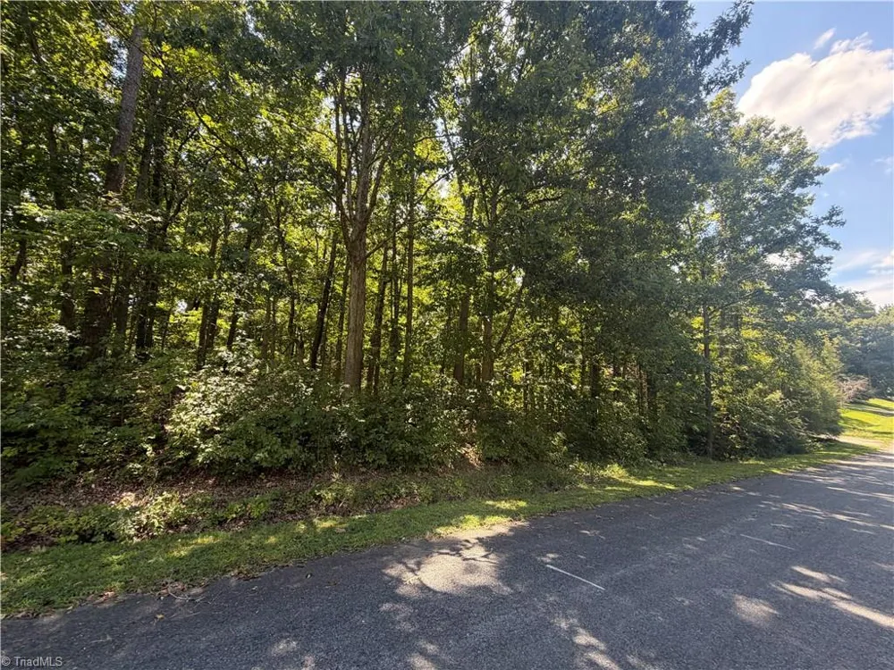 TBD Kennedy Country Drive Asheboro, NC 27205