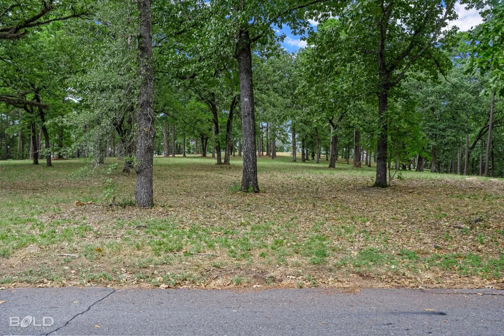Buckingham Drive Shreveport, LA 71107