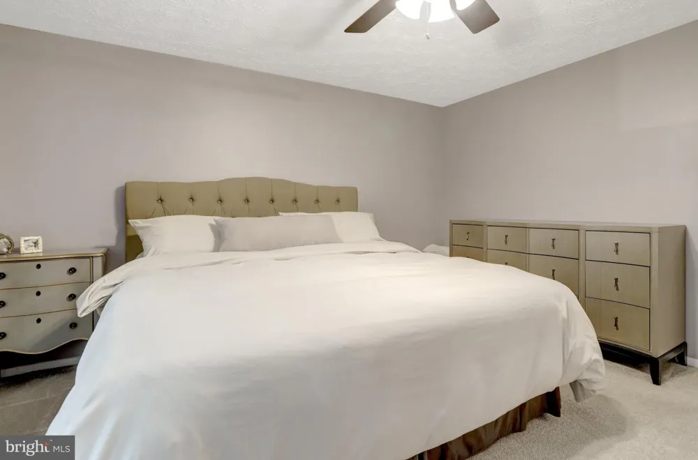 7418 GOLDEN HORSESHOE Springfield, VA 22153