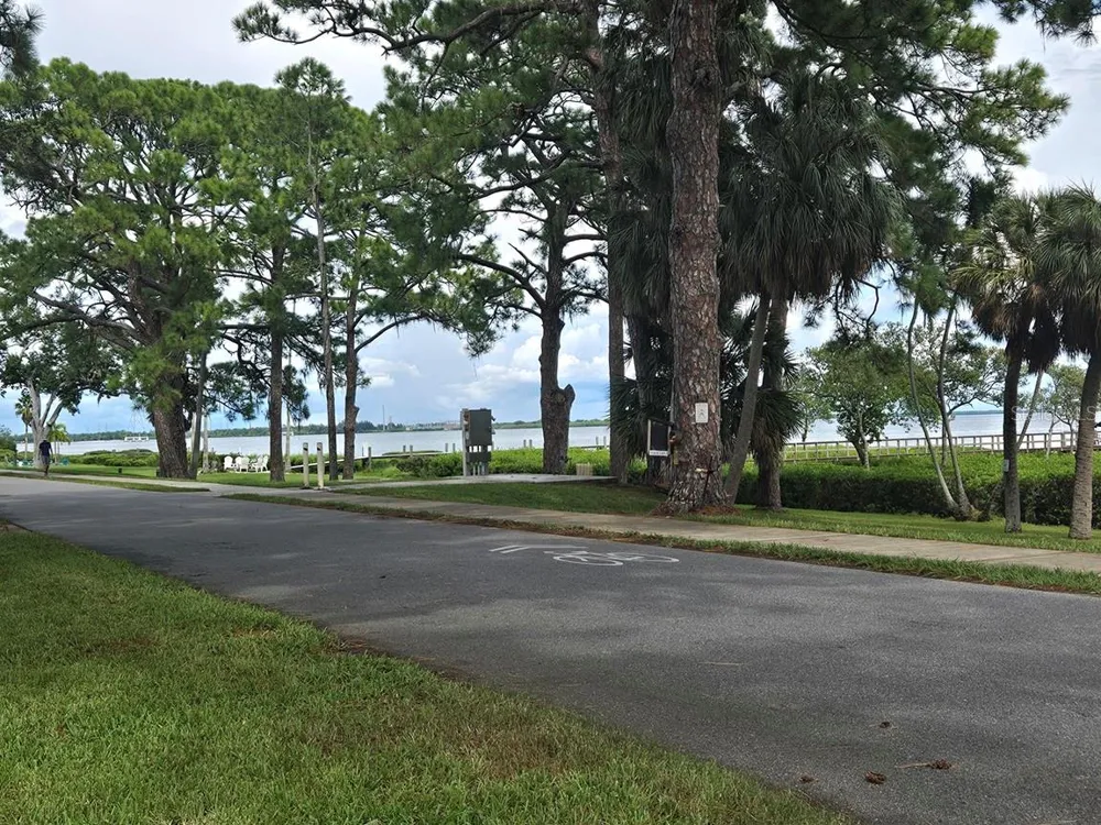245 TUCKER STREET Safety Harbor, FL 34695