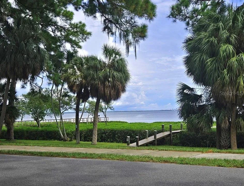 245 TUCKER STREET Safety Harbor, FL 34695