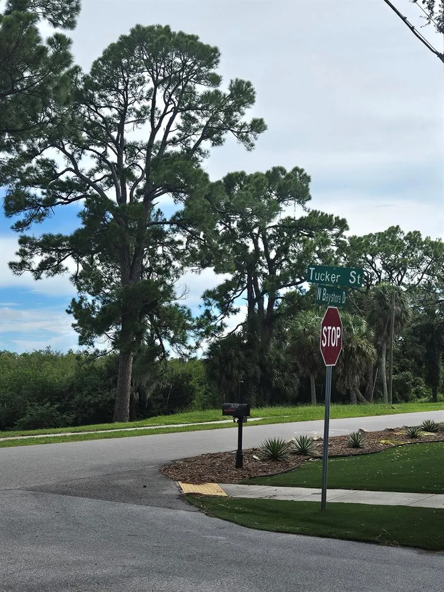 245 TUCKER STREET Safety Harbor, FL 34695