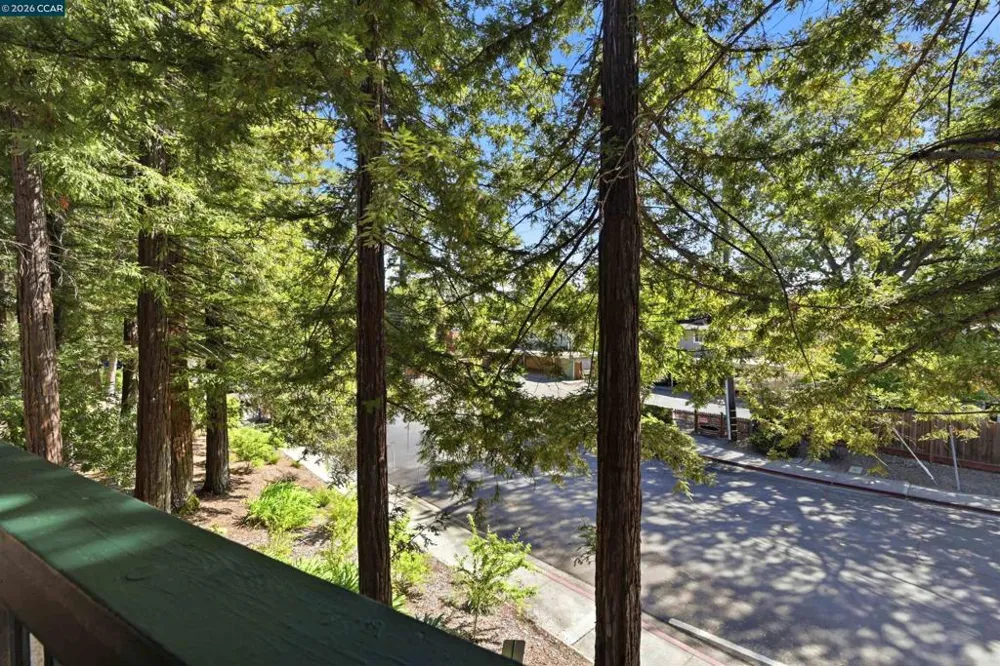 185 Sierra Dr #203 Walnut Creek, CA 94596
