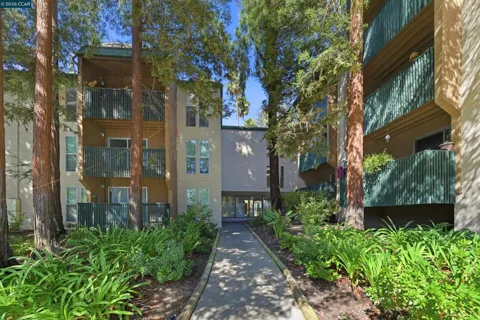 185 Sierra Dr #203