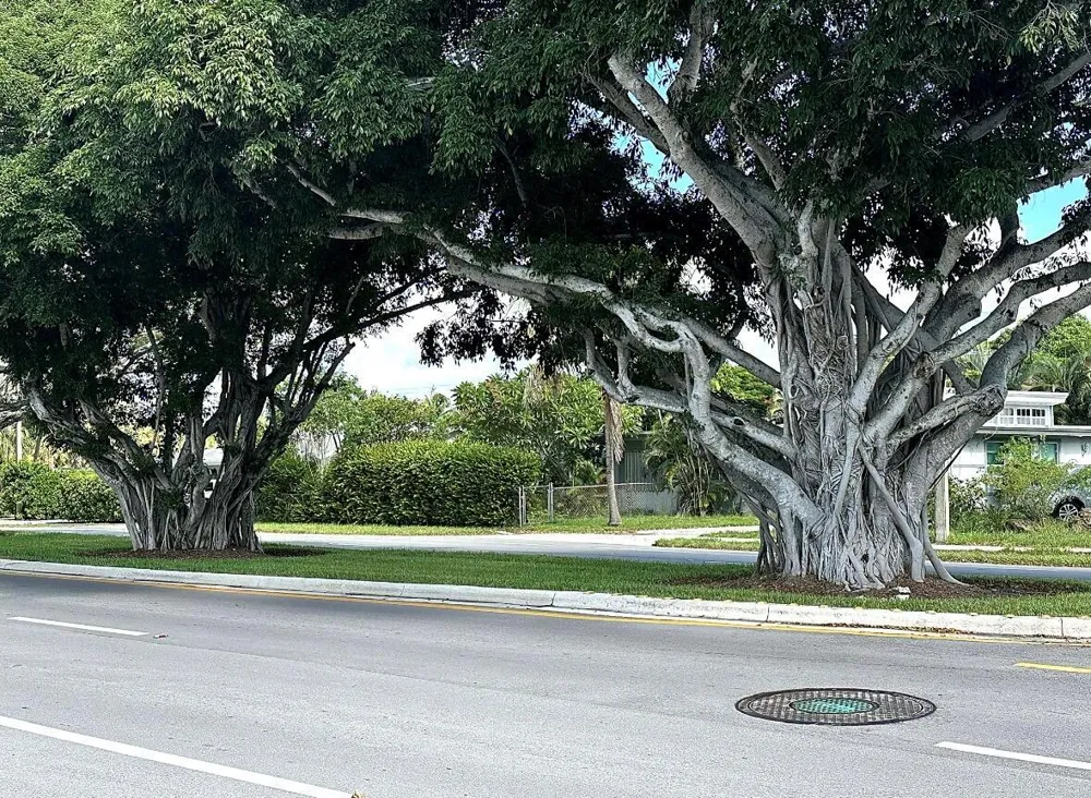 300 NE 20TH STREET #4100 Boca Raton, FL 33431