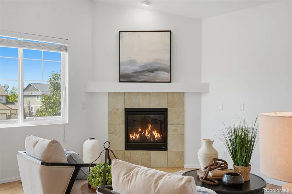 11379 Lovage Way Parker, CO 80134