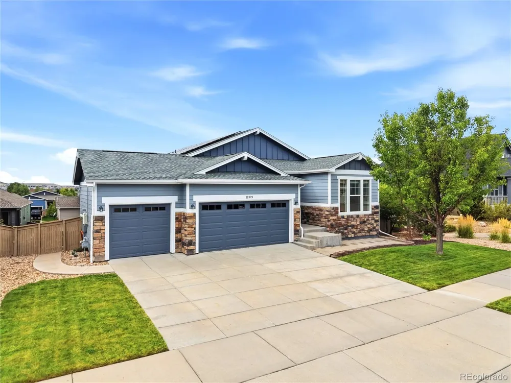 11379 Lovage Way Parker, CO 80134