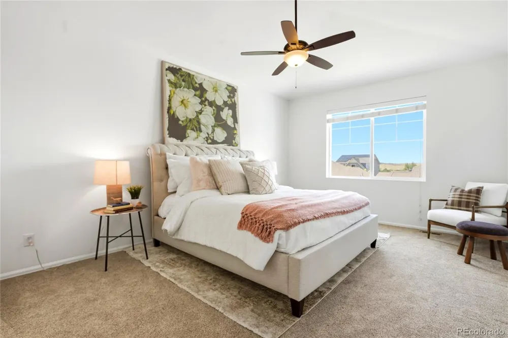 11379 Lovage Way Parker, CO 80134