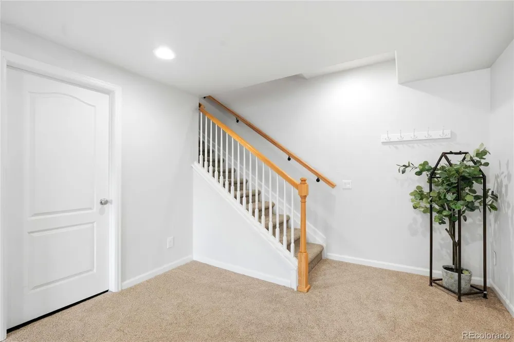11379 Lovage Way Parker, CO 80134