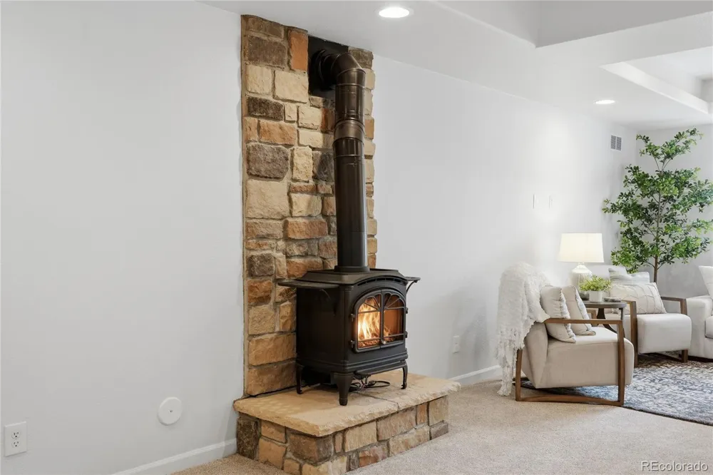 11379 Lovage Way Parker, CO 80134