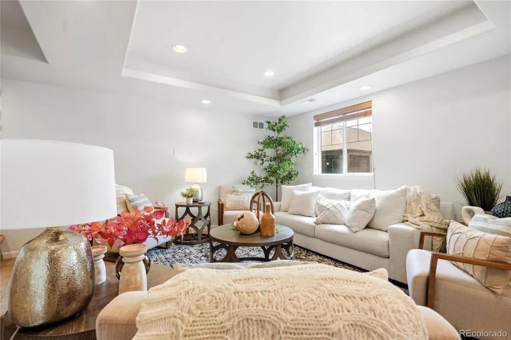 11379 Lovage Way Parker, CO 80134