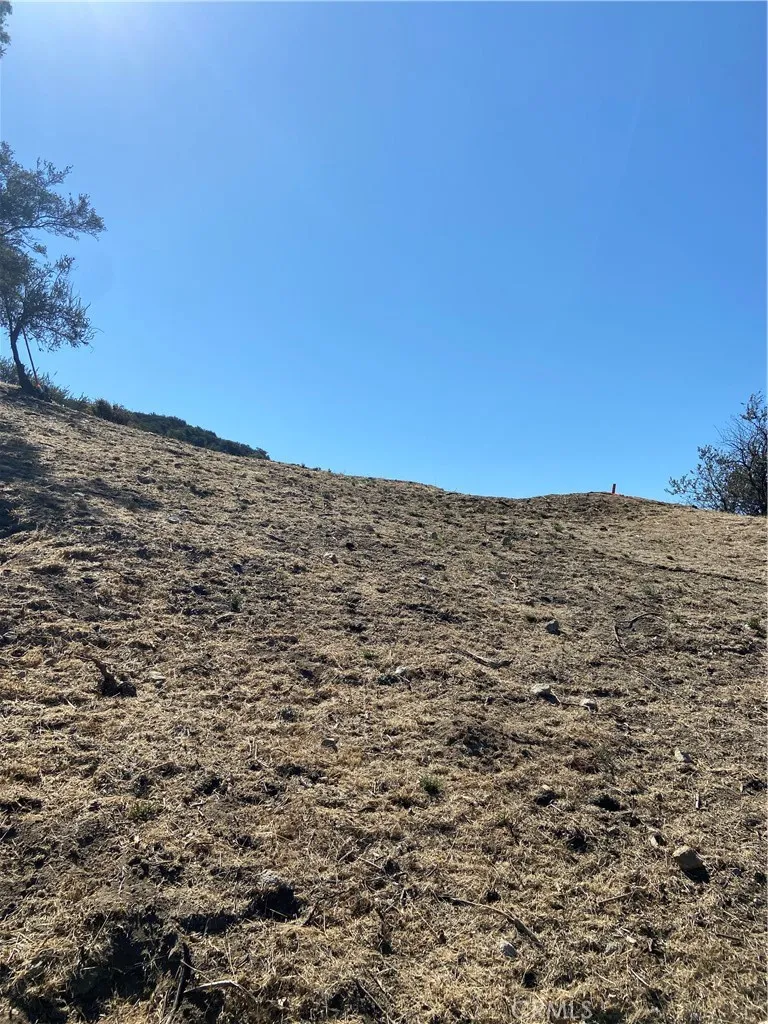 6088 Sister Elsie Drive Tujunga, CA 91042