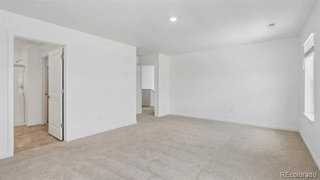1251 Pinnacle Avenue Lochbuie, CO 80603