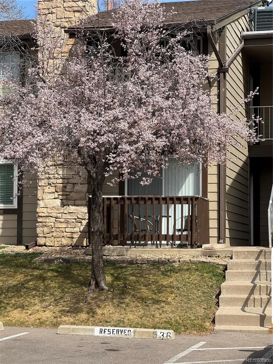 1850 S Pitkin Circle #B Aurora, CO 80017