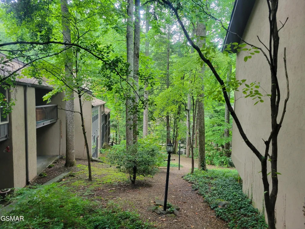 1235 Ski Mountain Road #610 Gatlinburg, TN 37738
