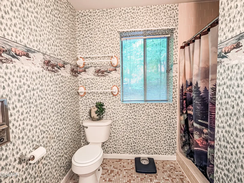 1235 Ski Mountain Road #610 Gatlinburg, TN 37738