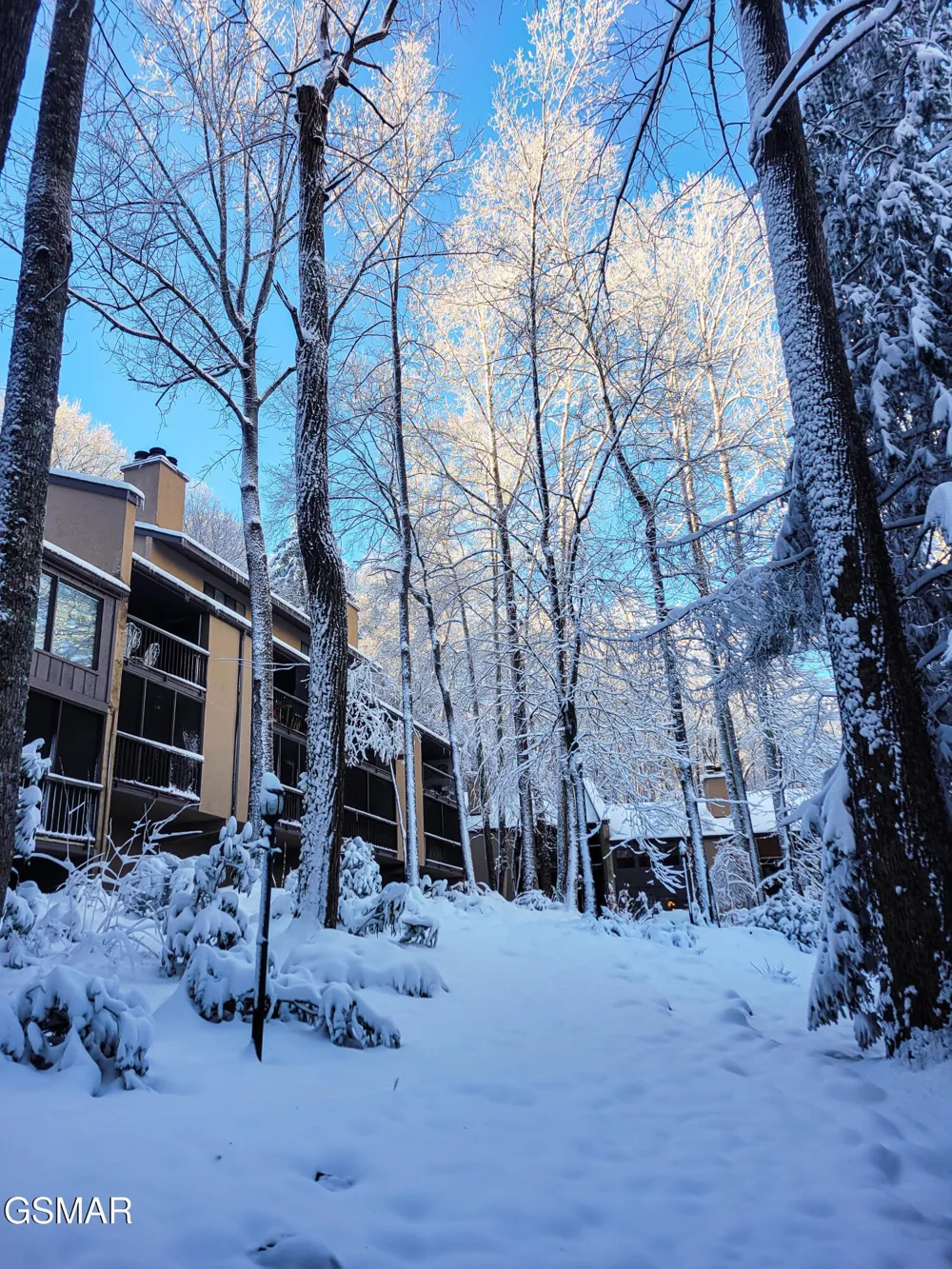 1235 Ski Mountain Road #610 Gatlinburg, TN 37738