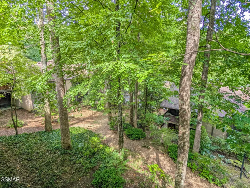 1235 Ski Mountain Road #610 Gatlinburg, TN 37738