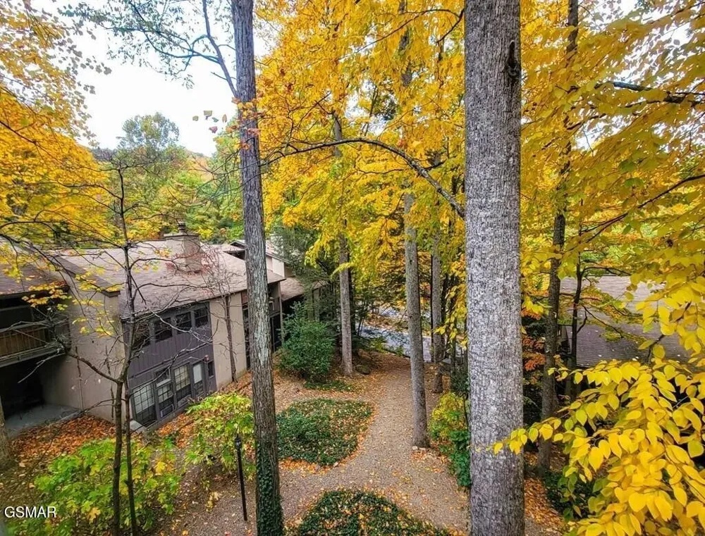 1235 Ski Mountain Road #610 Gatlinburg, TN 37738