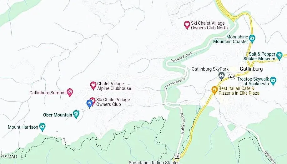 1235 Ski Mountain Road #610 Gatlinburg, TN 37738