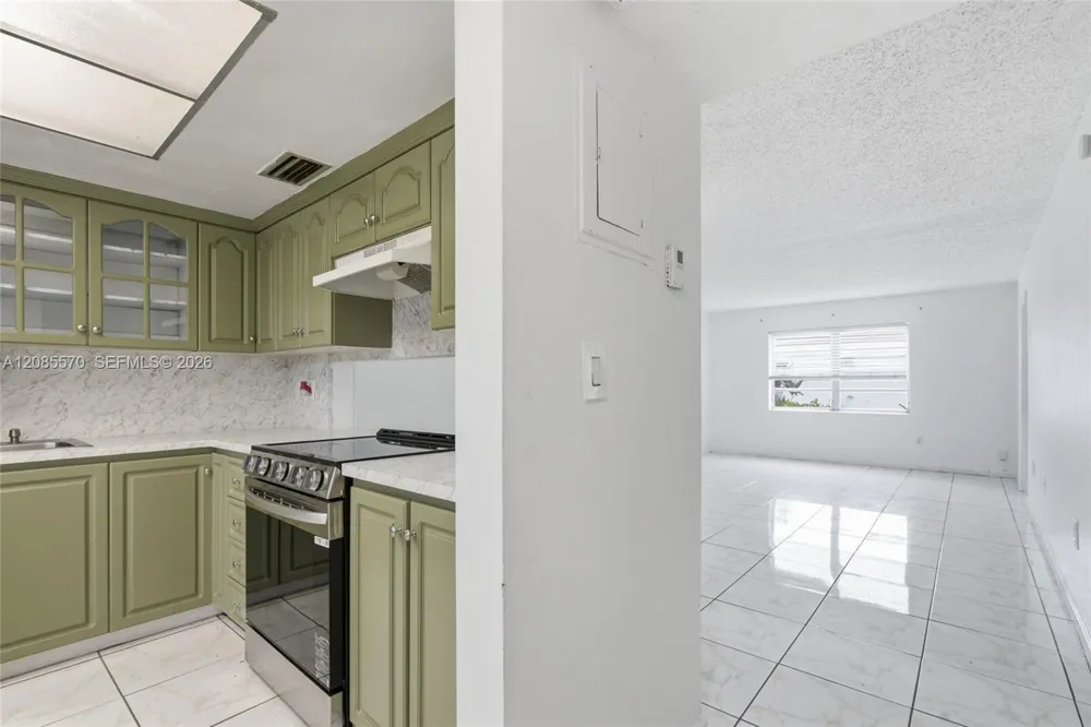 19051 NE 2nd Ave #1503 Miami, FL 33179