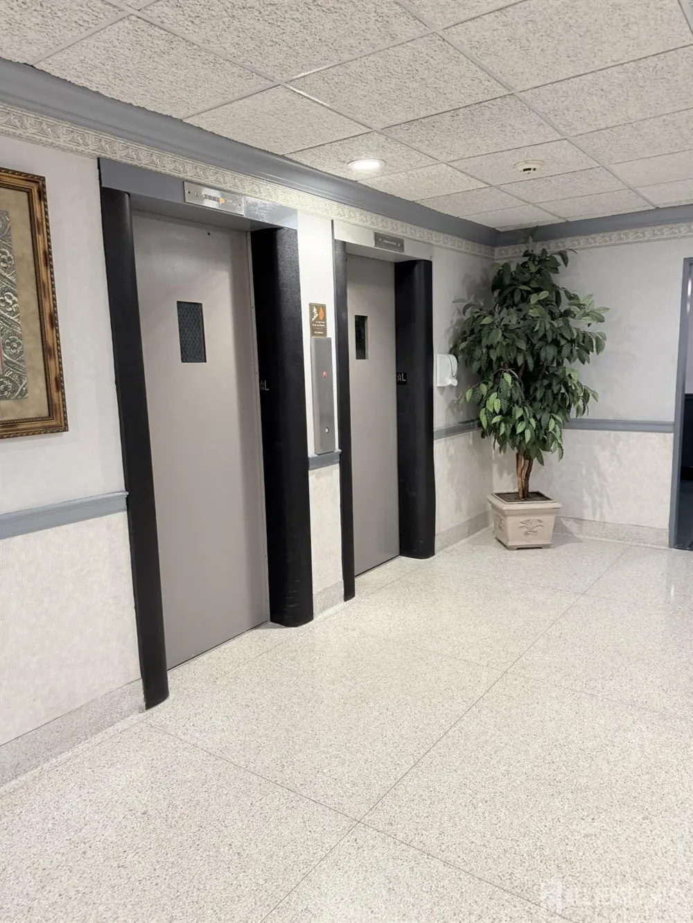 123 S Adelaide Avenue S #2D Highland Park, NJ 08904