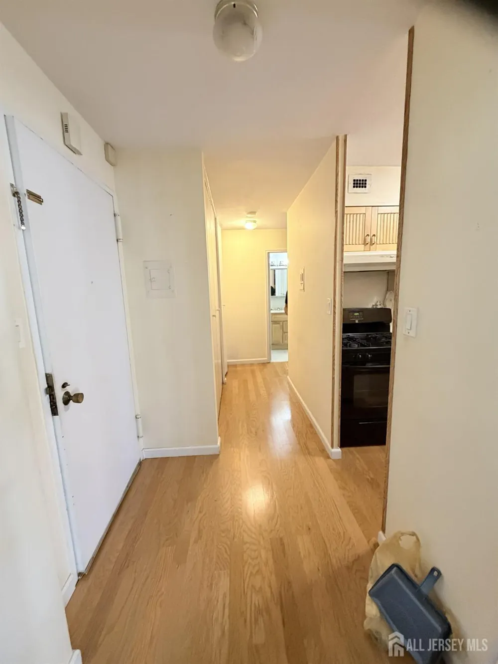 123 S Adelaide Avenue S #2D Highland Park, NJ 08904