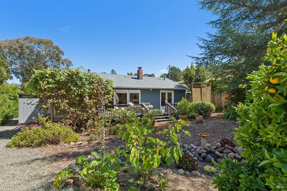 410 Maple Street Mill Valley, CA 94941