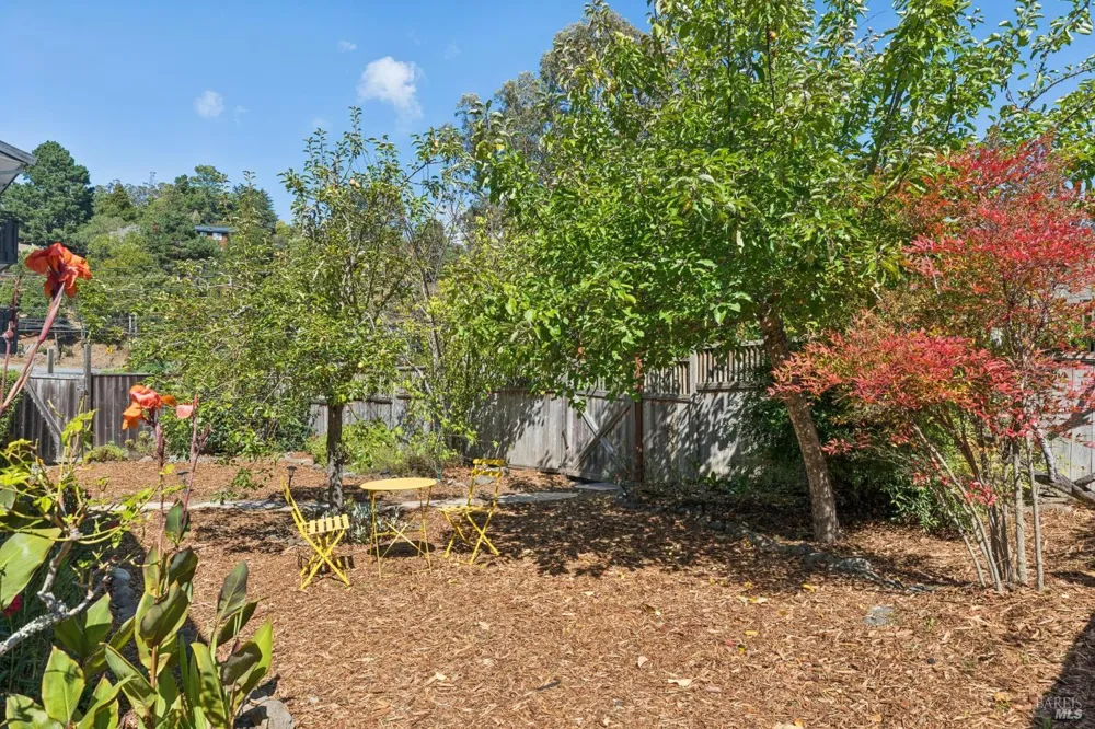 410 Maple Street Mill Valley, CA 94941